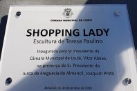 Shopping Lady